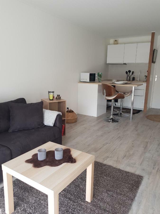 Laurier Apartment Toulouse Ngoại thất bức ảnh