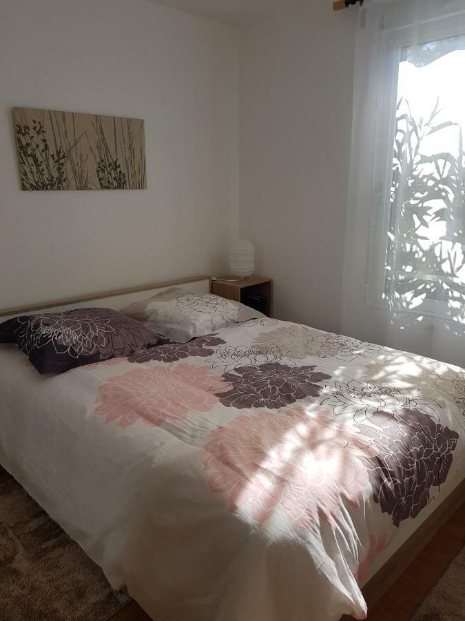 Laurier Apartment Toulouse Ngoại thất bức ảnh